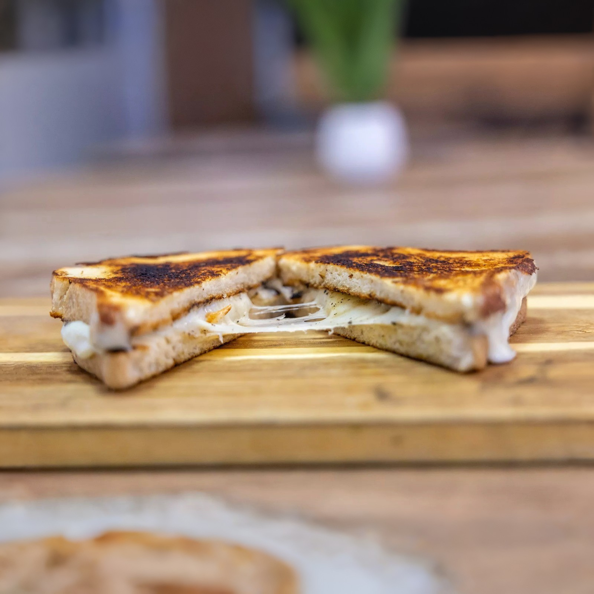 Grilled Cheese Panini